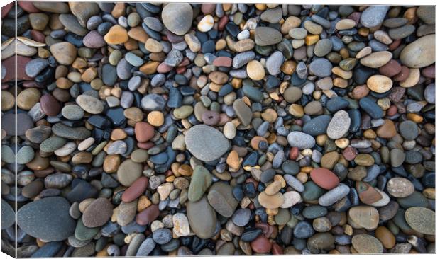 Pebbles of many shapes, colours and sizes. Canvas Print by Bryn Morgan