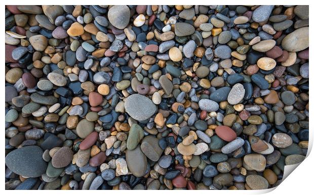 Pebbles of many shapes, colours and sizes. Print by Bryn Morgan