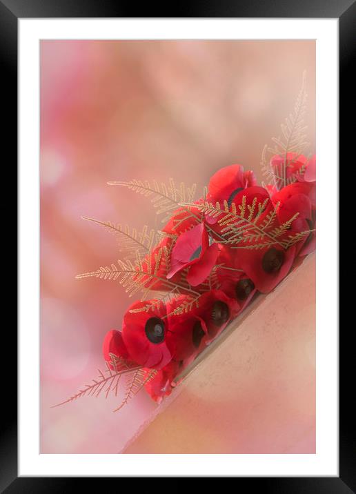 Lest We Forget Framed Mounted Print by Dianne 