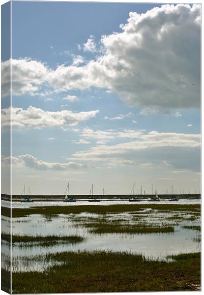 Keyhaven Harbour Canvas Print by graham young