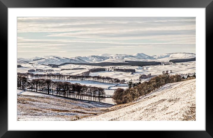 A Winter Wonderland Framed Mounted Print by Lynne Morris (Lswpp)