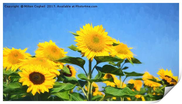 Sunflower Field III Digital Art Print by Milton Cogheil