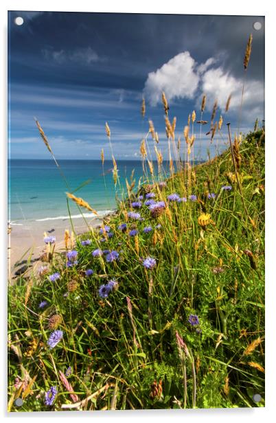 Coastal cornflowers in Cornwall Acrylic by Lindsay Philp