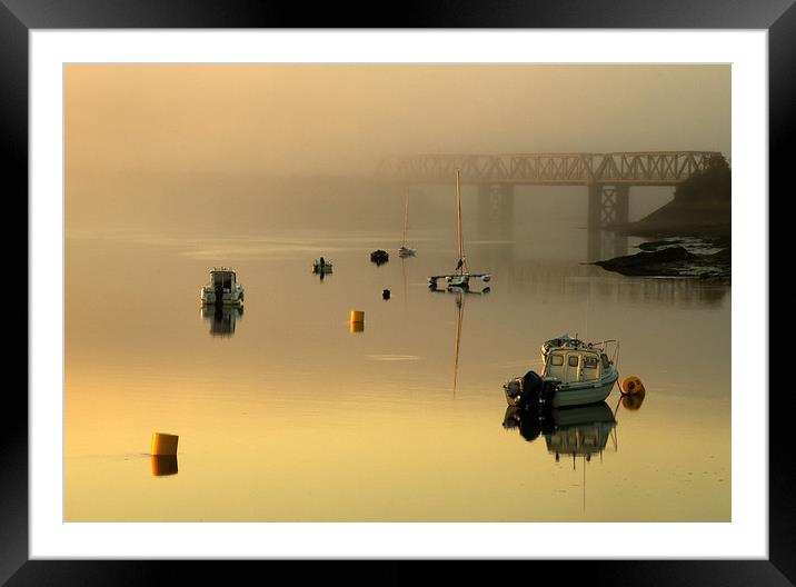 Misty morning on the Camel Trail Framed Mounted Print by Lindsay Philp