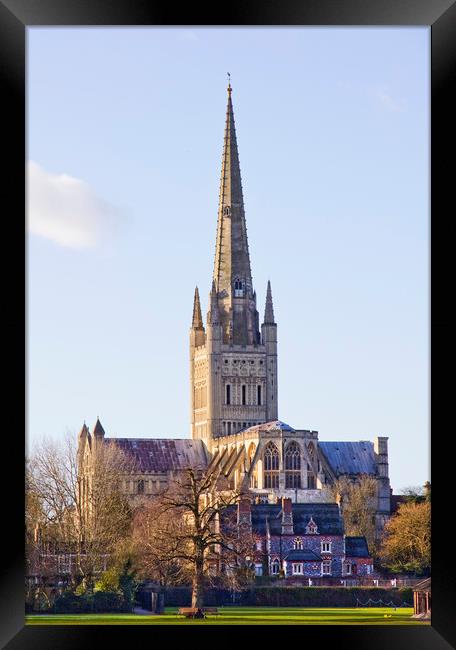 Norwich Cathedral Framed Print by Darren Burroughs