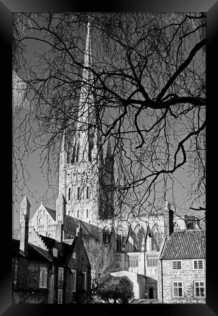 Norwich Cathedral Through Winter Trees Framed Print by Darren Burroughs