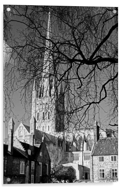 Norwich Cathedral Through Winter Trees Acrylic by Darren Burroughs