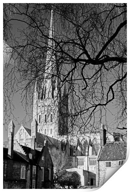 Norwich Cathedral Through Winter Trees Print by Darren Burroughs