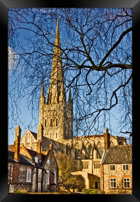 Norwich Cathedral Framed Print by Darren Burroughs