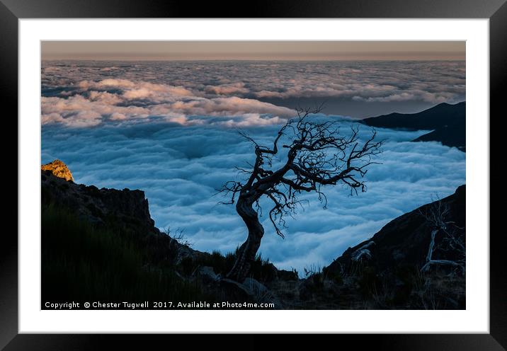 Dead Tree on Pico Ruivo Framed Mounted Print by Chester Tugwell