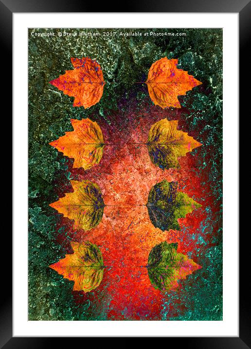 Colours of Nature Framed Mounted Print by Steve Whitham