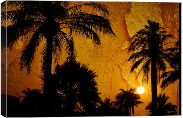 Gambian sunset  Canvas Print by JC studios LRPS ARPS