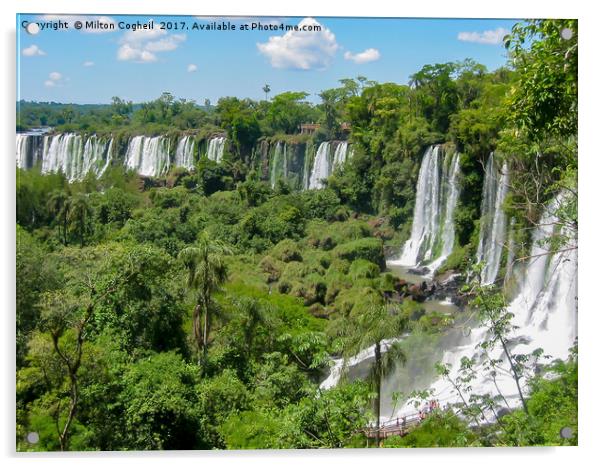 Iguasu Falls Acrylic by Milton Cogheil