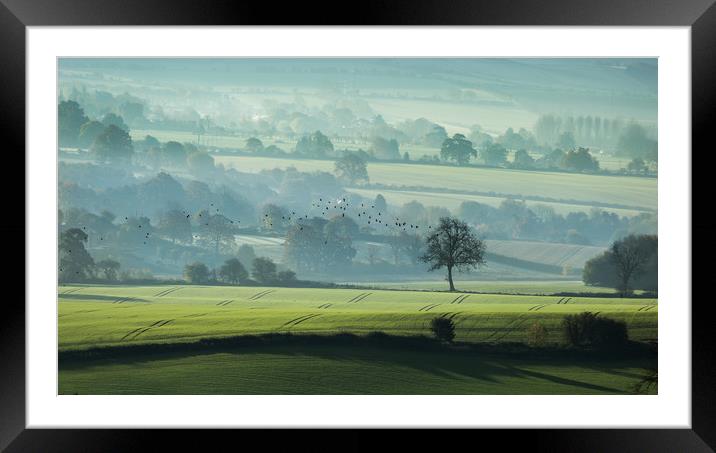 Early Start Framed Mounted Print by Philip Male