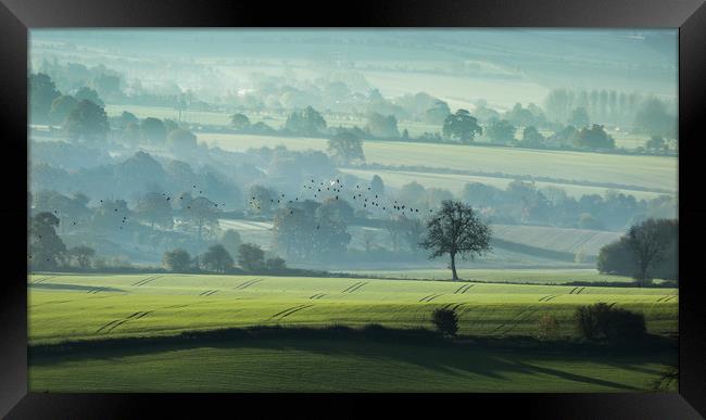 Early Start Framed Print by Philip Male