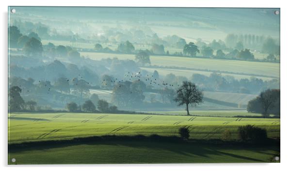 Early Start Acrylic by Philip Male