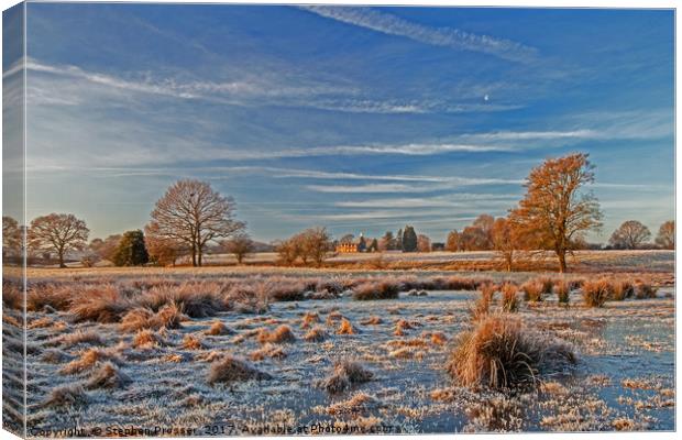 Frosted beauty Canvas Print by Stephen Prosser