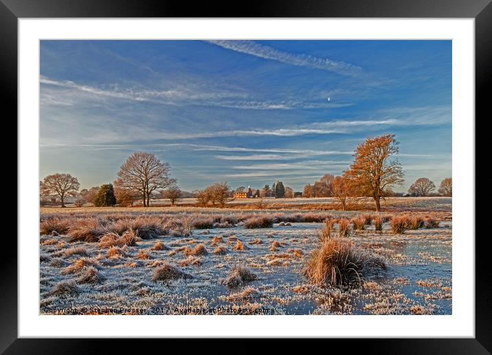 Frosted beauty Framed Mounted Print by Stephen Prosser