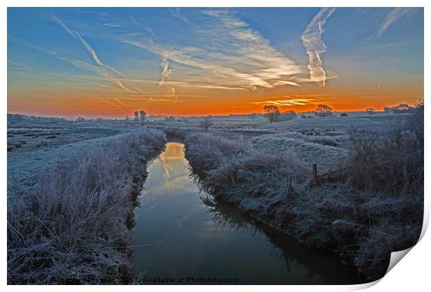 Wintery magic Print by Stephen Prosser