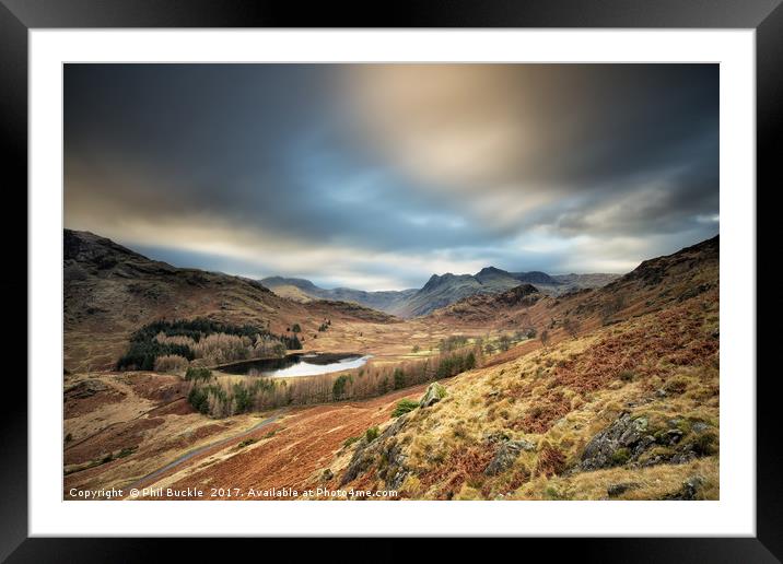 Blea Tarn View Framed Mounted Print by Phil Buckle