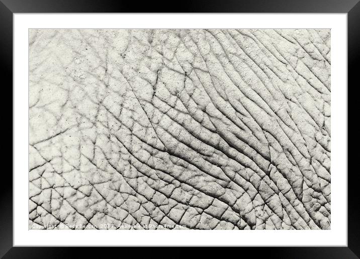 Elephant Skin Abstract Texture Background Framed Mounted Print by Radu Bercan