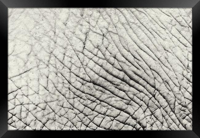 Elephant Skin Abstract Texture Background Framed Print by Radu Bercan