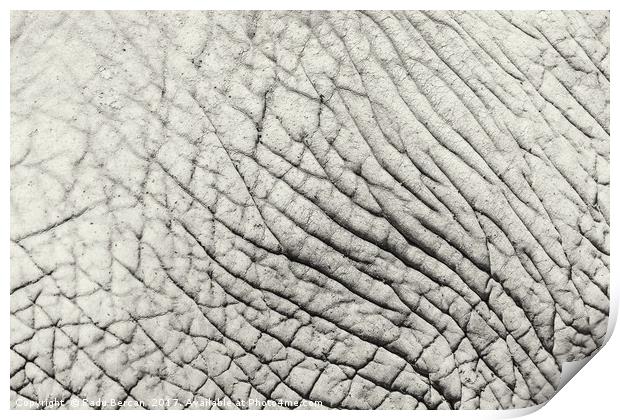 Elephant Skin Abstract Texture Background Print by Radu Bercan