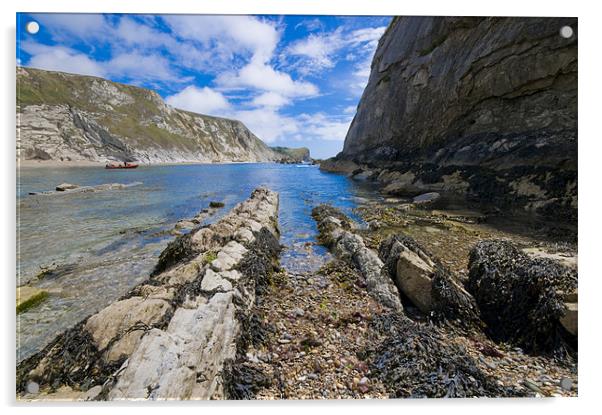 Somewhere on the Devon Coast Acrylic by Eddie Howland