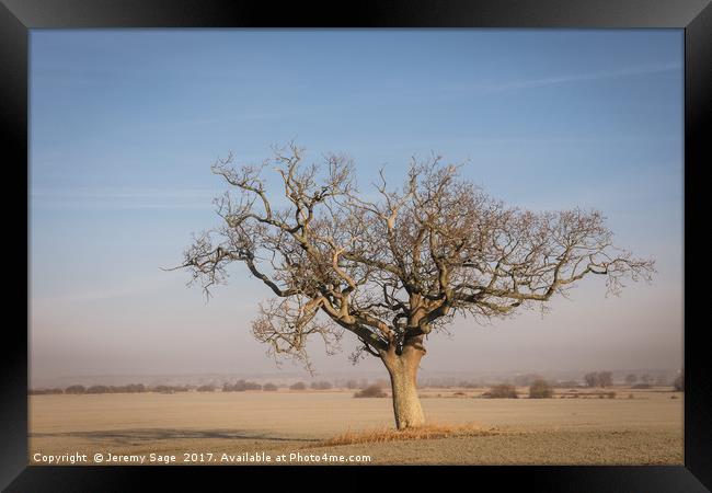 The Lone Tree Framed Print by Jeremy Sage
