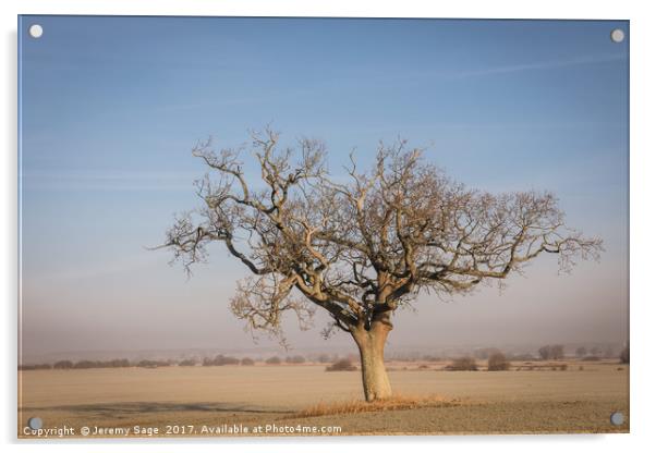 The Lone Tree Acrylic by Jeremy Sage