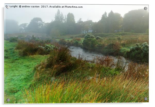 MISTY POSTBRIDGE Acrylic by andrew saxton