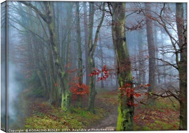 "PATHWAY THROUGH THE FOG" Canvas Print by ROS RIDLEY