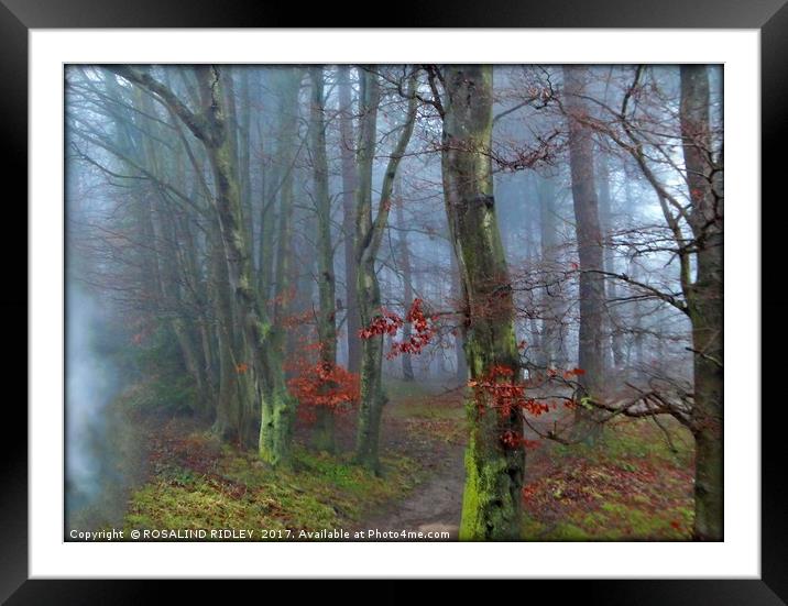 "PATHWAY THROUGH THE FOG" Framed Mounted Print by ROS RIDLEY