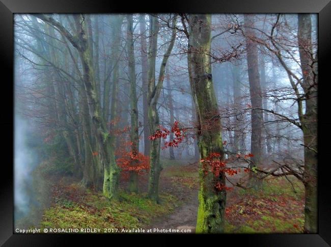 "PATHWAY THROUGH THE FOG" Framed Print by ROS RIDLEY