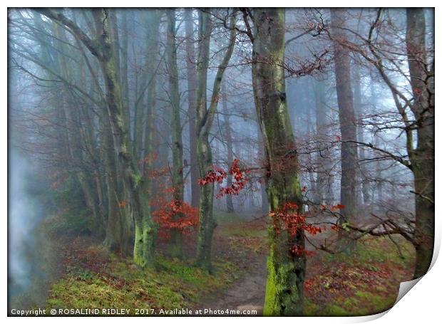 "PATHWAY THROUGH THE FOG" Print by ROS RIDLEY