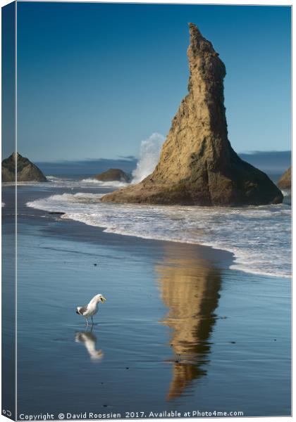 Chokng Call and Witch's Hat, Bandon, Oregon, USA Canvas Print by David Roossien