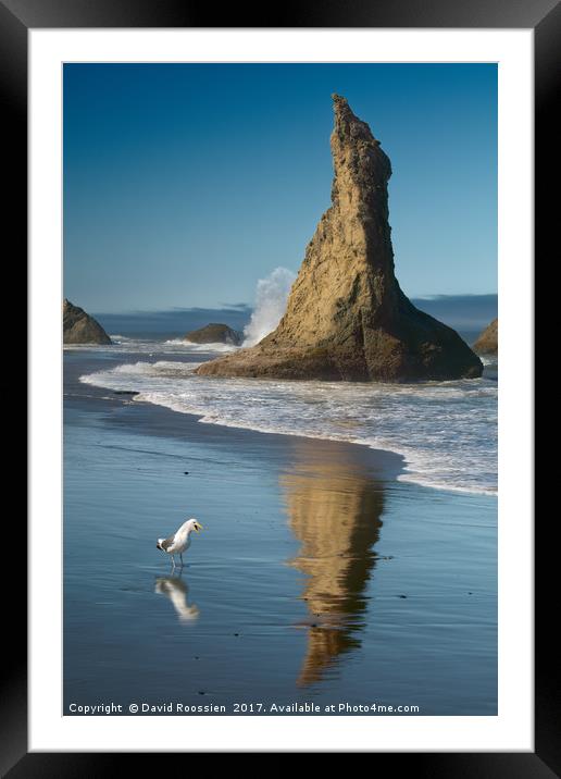 Chokng Call and Witch's Hat, Bandon, Oregon, USA Framed Mounted Print by David Roossien