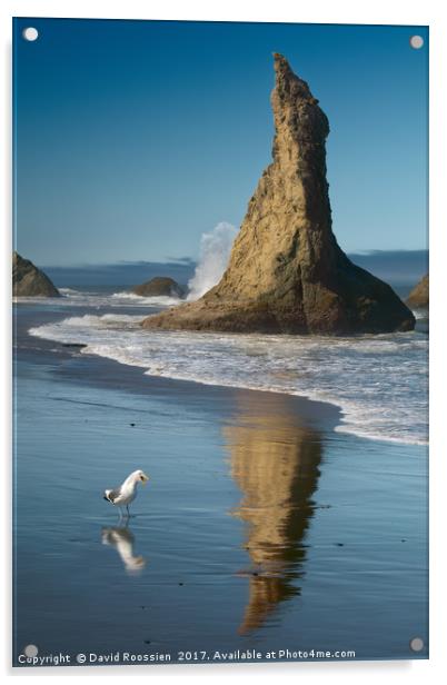 Chokng Call and Witch's Hat, Bandon, Oregon, USA Acrylic by David Roossien