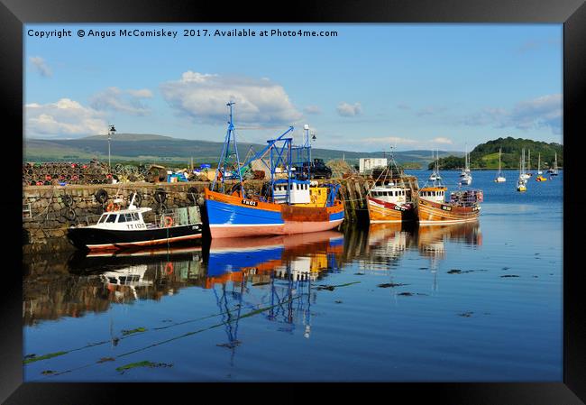 Fishing boats in Tobermory harbour Framed Print by Angus McComiskey