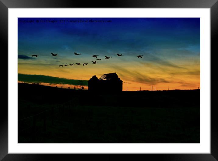 flypast at dawn Framed Mounted Print by Derrick Fox Lomax