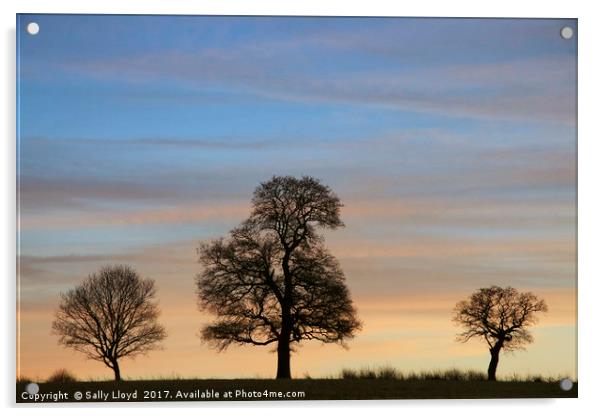Sunset Three Acrylic by Sally Lloyd