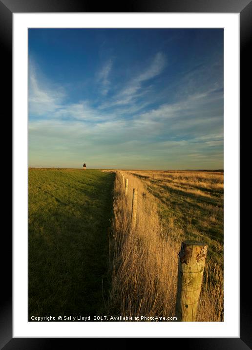 The path to Cley Framed Mounted Print by Sally Lloyd