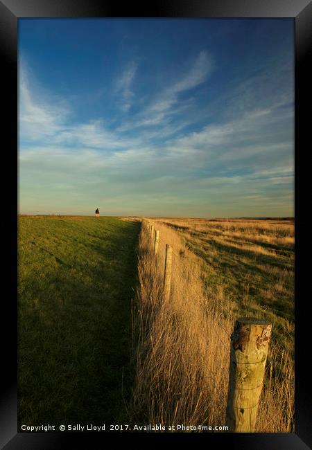 The path to Cley Framed Print by Sally Lloyd