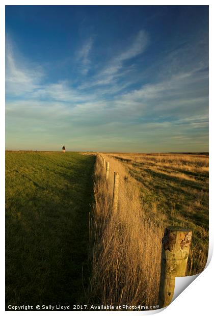The path to Cley Print by Sally Lloyd