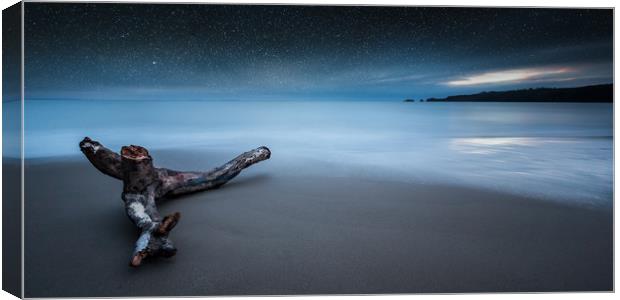 Driftwood on Coppet Hall beach Canvas Print by Simon West
