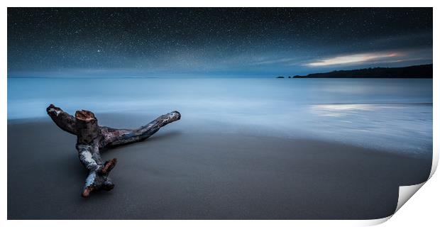 Driftwood on Coppet Hall beach Print by Simon West