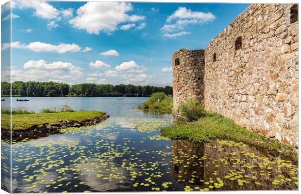 Kronobergs Castle Ruin Lakeview Canvas Print by Antony McAulay