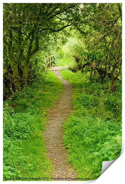 The Path to Willow Bridge Print by John Edwards