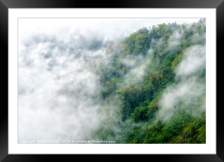 Rain Forest Fog Framed Mounted Print by Brent Olson