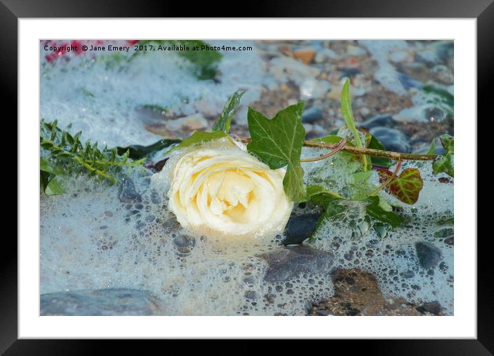 White Rose at the Tides Edge Framed Mounted Print by Jane Emery